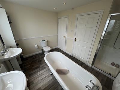 Picture 16